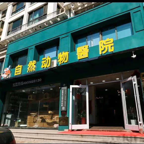 自然动物连锁医院猫友好医院:威海市经济开发区长峰附近