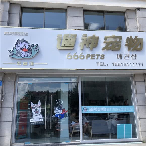 遛神宠物:威海市经济开发区蒿泊附近