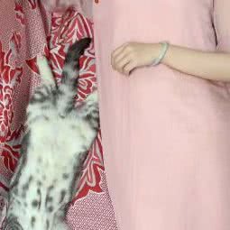 好主人宠物医院:聊城市开发区御润财富城附近