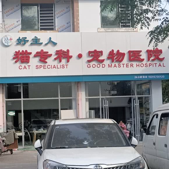 猫专科·宠物医院:聊城市开发区御润财富城附近