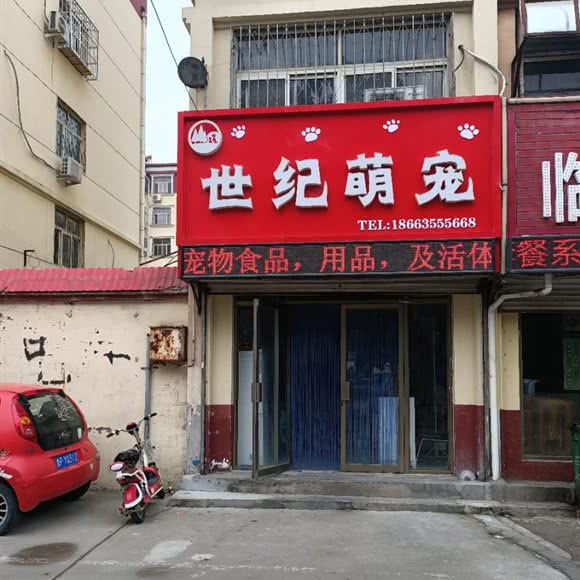 年代萌宠:聊城市开发区聊大花园附近