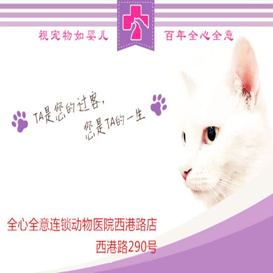 全心全意动物医院(西港路店):秦皇岛市海港区西港路附近