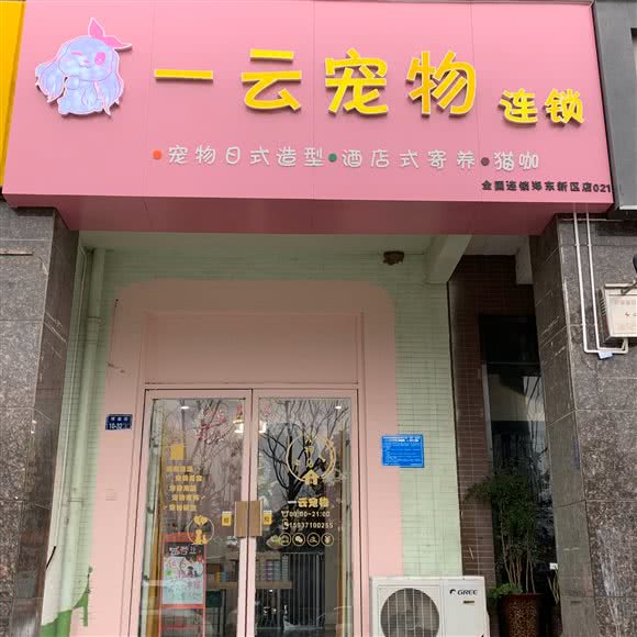 一云宠物(郑东新区店):郑州市郑东新区郑东新区CBD附近