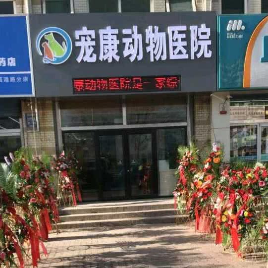 宠康动物医院:秦皇岛市海港区西港路附近