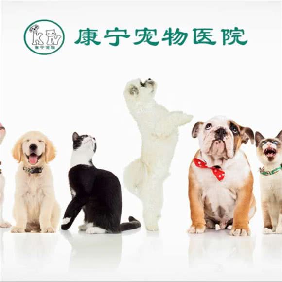 康宁宠物医院:郑州市郑东新区宝龙城市广场/熙地港附近
