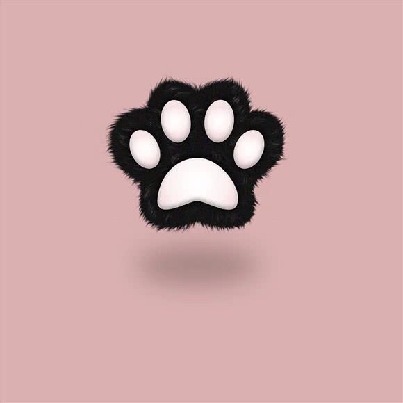 Max宠物私塾:郑州市郑东新区汽车东站附近