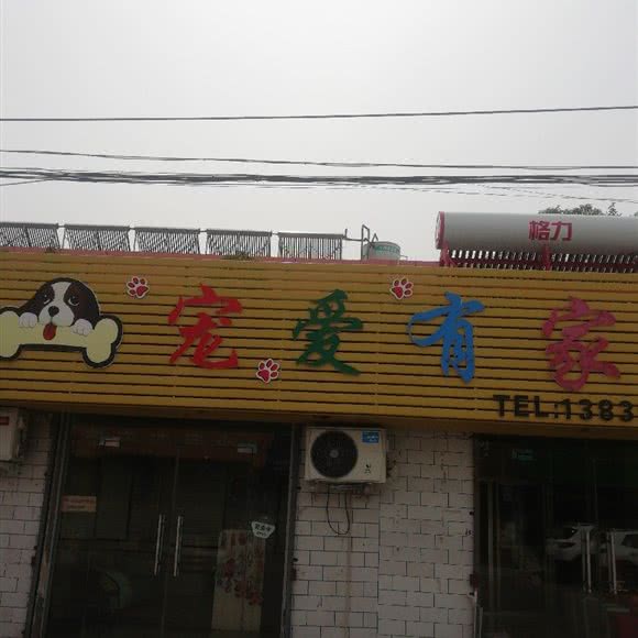 宠爱有家(中原路店):洛阳市吉利区吉利区附近