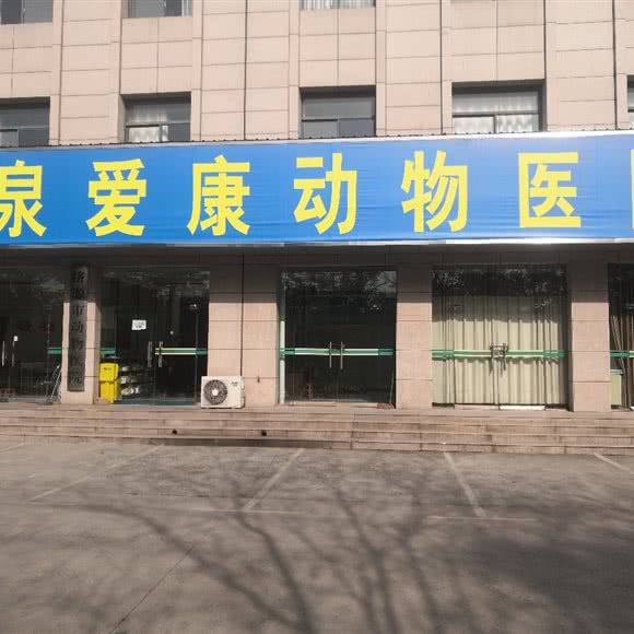 济源市玉泉爱康动物医院:济源市济源市其他北海中学附近