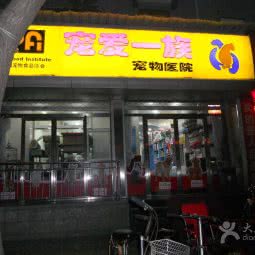 宠爱一族宠物医院:北京城区东城区朝阳门附近