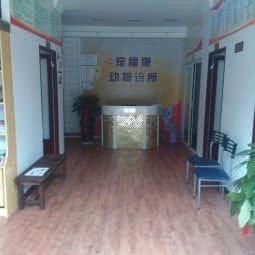 宠福康动物诊所:济源市济源市其他市政府附近