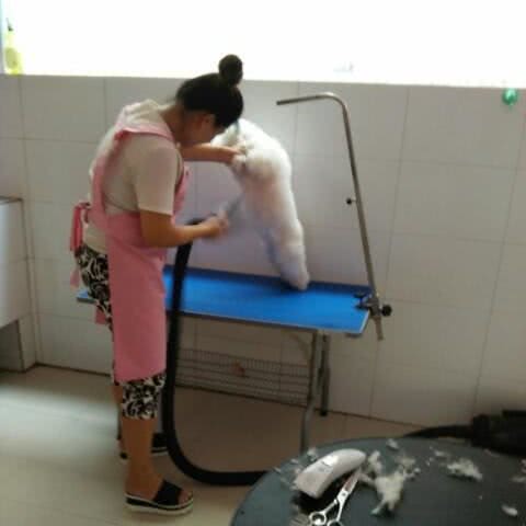 欢乐宠物生活馆:济源市济源市其他济源康复医院附近