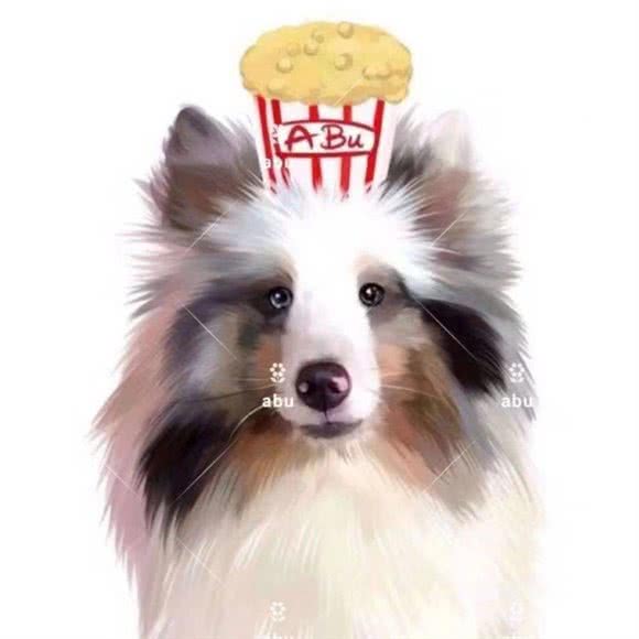 阿布宠屋:仙桃市城区刘口沔街/一中附近