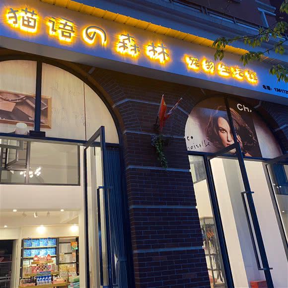 猫语の森林宠物生活馆(森林国际店):仙桃市城区刘口沔街/一中附近