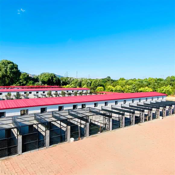 凯仕爱犬寄养训练学校:秦皇岛市山海关区山海关附近