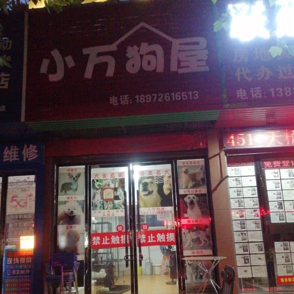 小万狗屋:潜江市城区水牛城附近