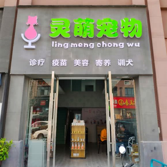 灵萌宠物:潜江市城区梅苑古街附近