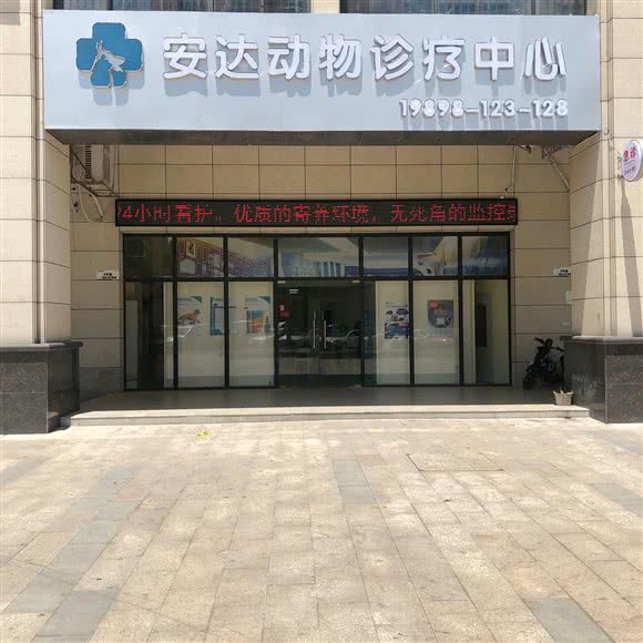 安达动物诊疗中心:湛江市开发区万达广场附近
