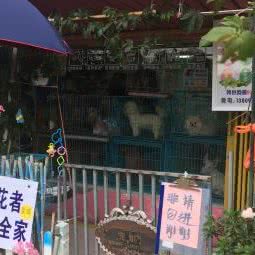 萌宠生活馆:湛江市开发区荣基国际广场附近