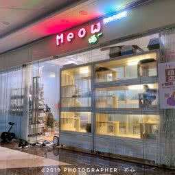 Meow·宠物生活馆:湛江市开发区龙潮路附近