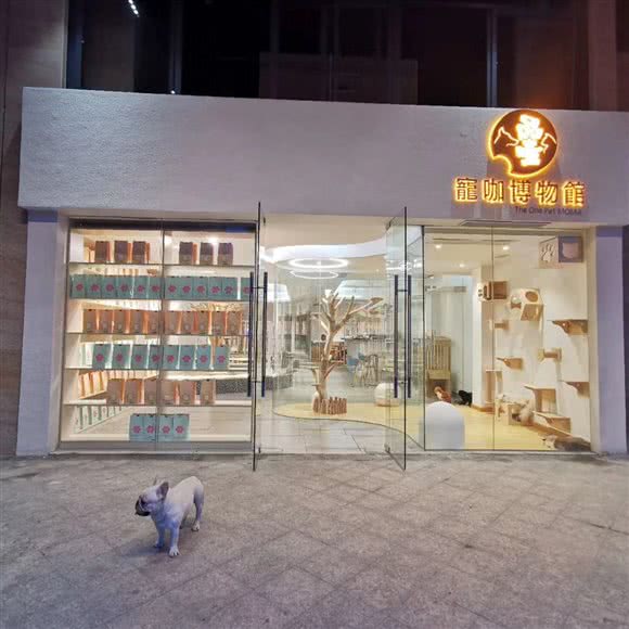 品壹宠物店:湛江市开发区大润发附近