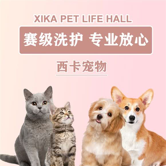 西卡宠物生活馆:西安市高新区丈八附近