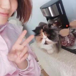 猫它它Cat it it猫咖寄养生活馆":西安市高新区丈八附近