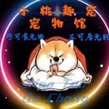 大桃趣宠宠物馆:西安市高新区丈八附近