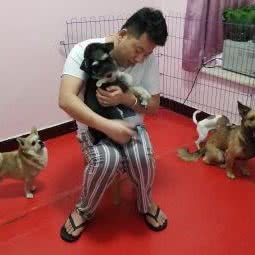 丁丁宠物寄养:西安市高新区丈八附近