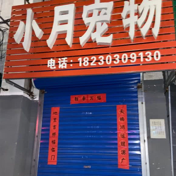 小月宠物:秦皇岛市山海关区第二中学附近