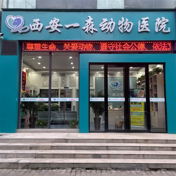 西安一森动物医院:西安市高新区丈八附近