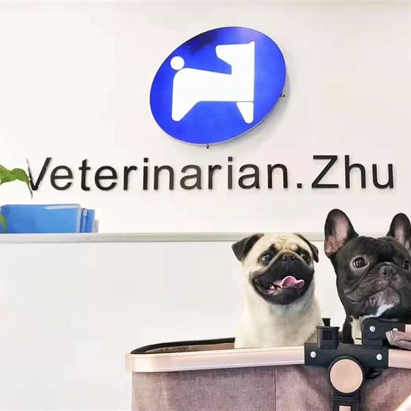 朱大湿动物医院24H·血透心脏CT内窥镜眼科手术中心:西安市高新区丈八附近