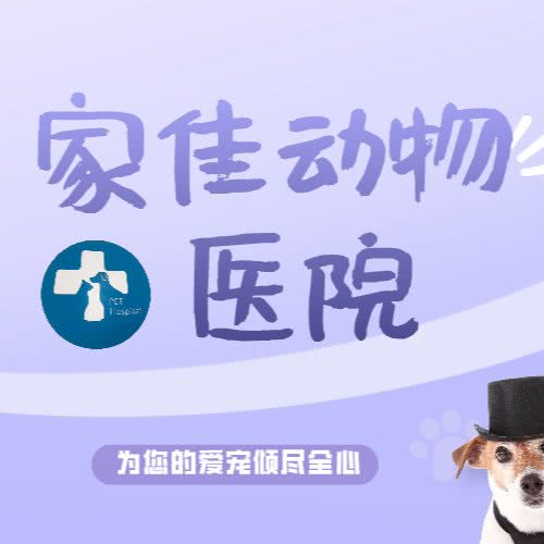 家佳动物宠物医院:西安市高新区丈八附近