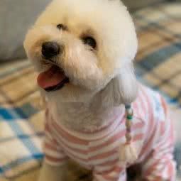 甜心宠物:秦皇岛市北戴河区北戴河附近