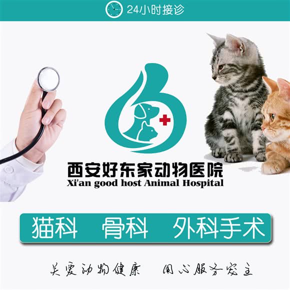西安好东家动物医院(高新店):西安市高新区高新路沿线附近