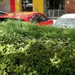 旺旺狗宠物医院:西安市高新区高新路沿线附近