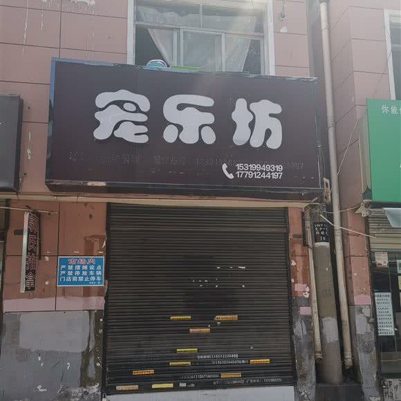 宠乐坊:西安市高新区电子城附近