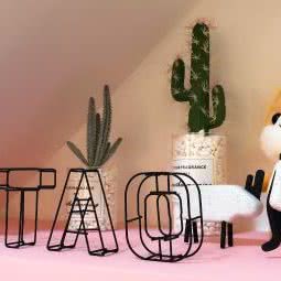 屁桃宠物:西安市高新区电子城附近