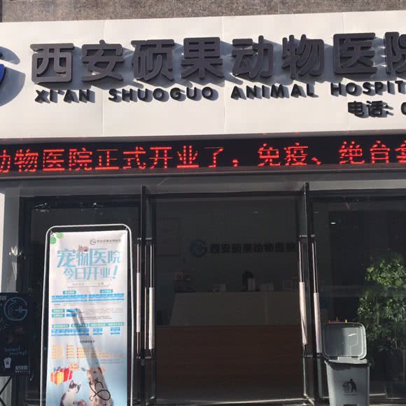 硕果动物医院:西安市高新区电子城附近