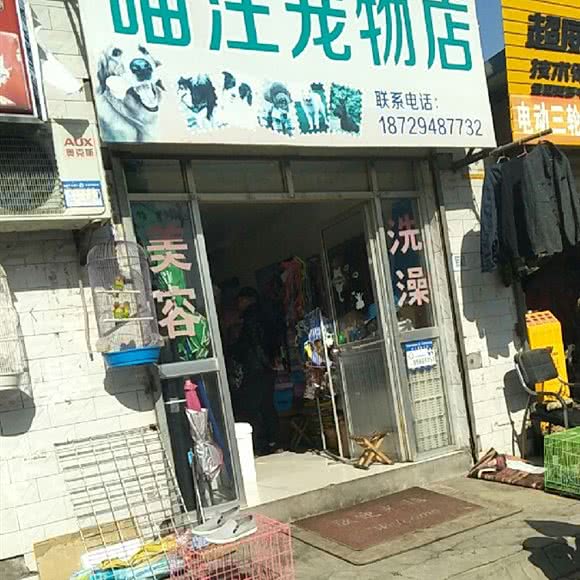 喵汪宠物店:西安市高新区紫薇田园都市附近