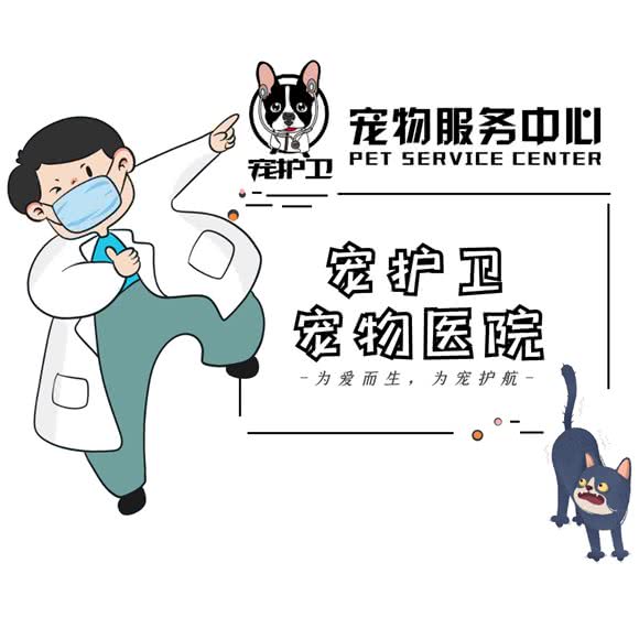 宠护卫宠物医院:西安市高新区紫薇田园都市附近