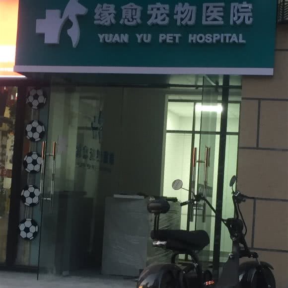 缘愈宠物医院:西安市高新区紫薇田园都市附近