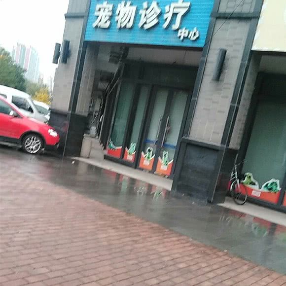 西安市犬业协会宠物诊疗中心:西安市高新区紫薇田园都市附近