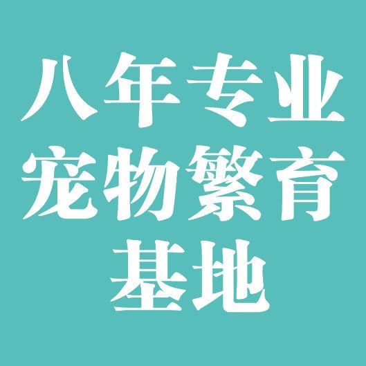 大力宠物·犬猫繁殖基地·赛级洗护(高新店):西安市高新区西万路口附近