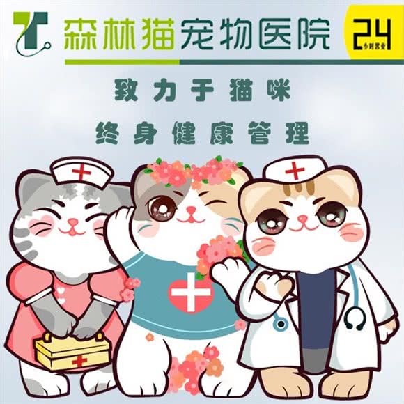 森林猫宠物医疗(高新六路伟业公馆店):西安市高新区科技路西口附近