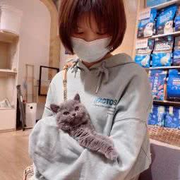 喜喵宠物(高端活体旗舰店):西安市高新区枫林绿洲附近