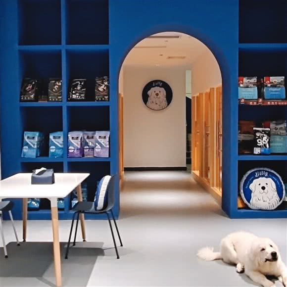 Billy宠物生活馆:东莞市莞城街道雍华庭附近