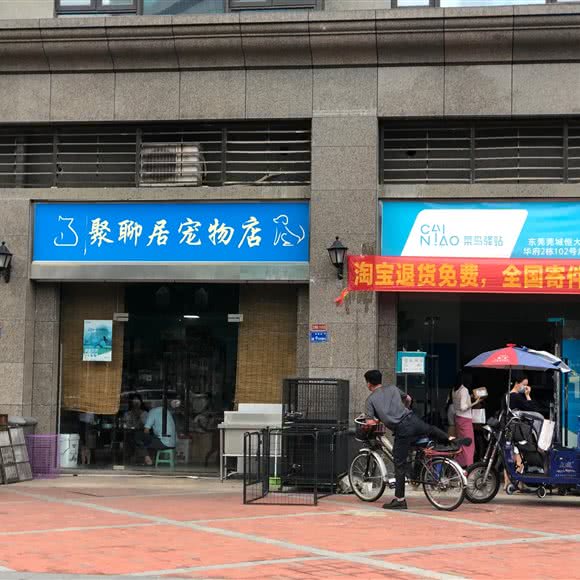 聚聊居宠物店:东莞市莞城街道戴屋庄附近
