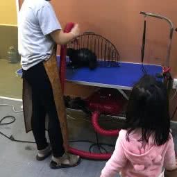 1号猴子屋:东莞市石龙镇黄洲附近