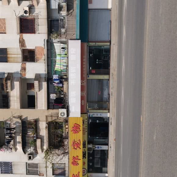 三郎爱宠宠物俱乐部:东莞市石龙镇石龙镇附近