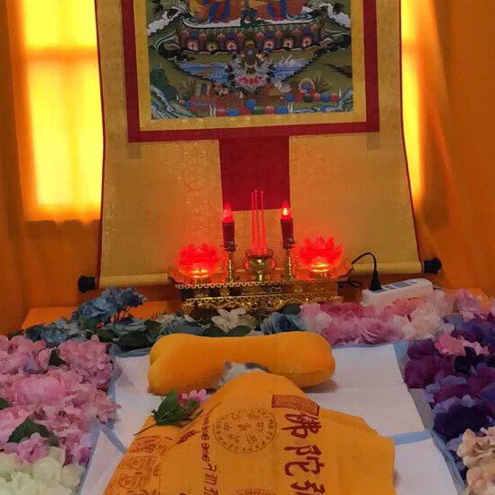 双宠星宠物火化殡葬服务中心:东莞市南城街道第一国际/汇一城附近